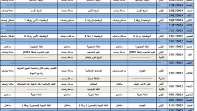 برنامج التوجيهي التكميلي